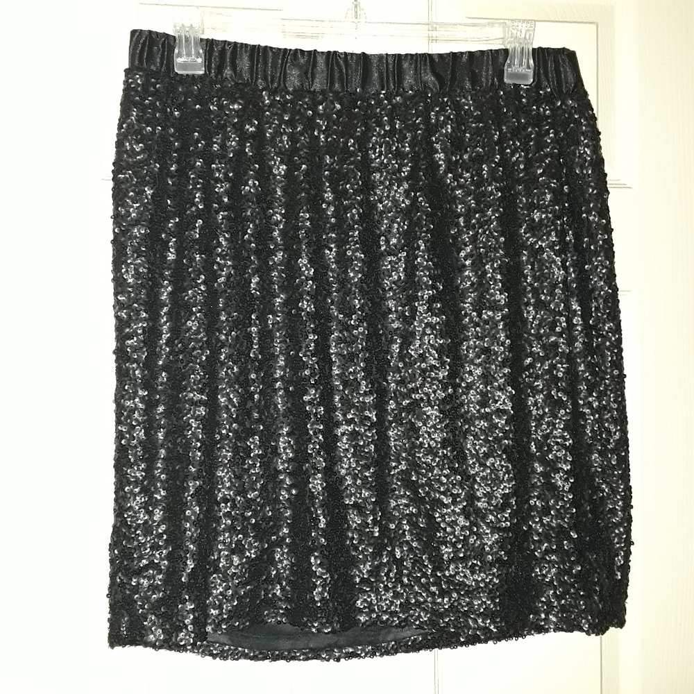 Sequin Skirt